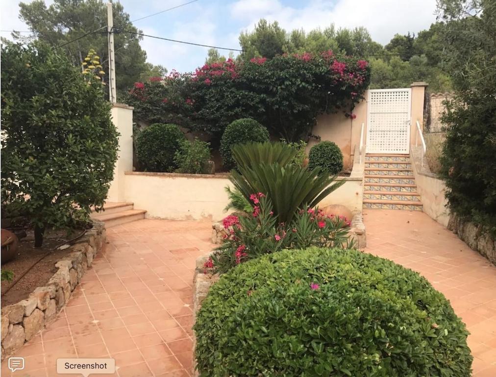 Port D'andratx Beautiful House, Swimming Pool & Jacuzzi 10-22 People Holiday home Andratx